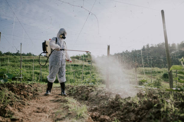 Best Pest Prevention Services  in Aliquip, PA