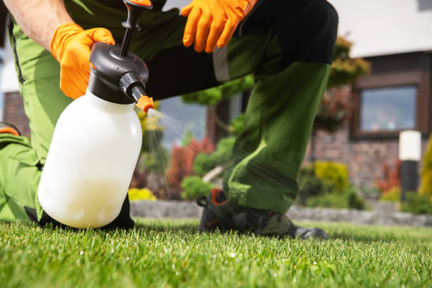 Best Pest Prevention Services  in Aliquip, PA