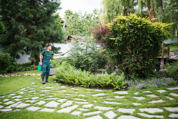 Reliable Aliquippa, PA Pest Control Solutions