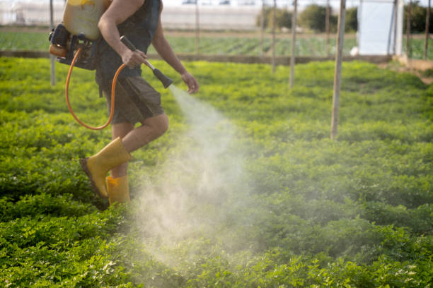 Best Affordable Pest Control Services  in Aliquip, PA