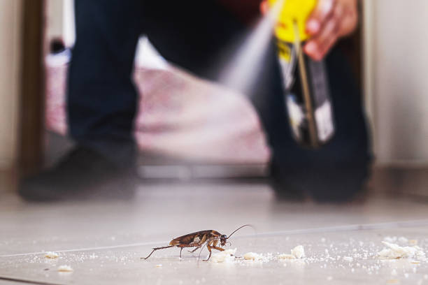 Trusted Aliquippa, PA Pest Control Experts