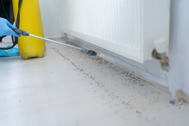 Best Mosquito Control Services  in Aliquip, PA